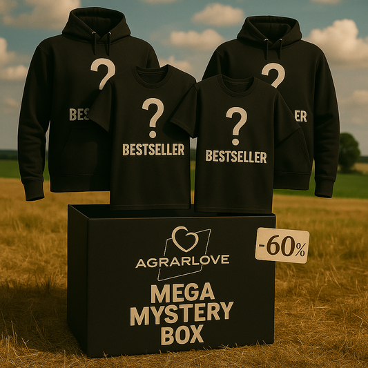 MEGA MYSTERY BOX | Lucky Deal