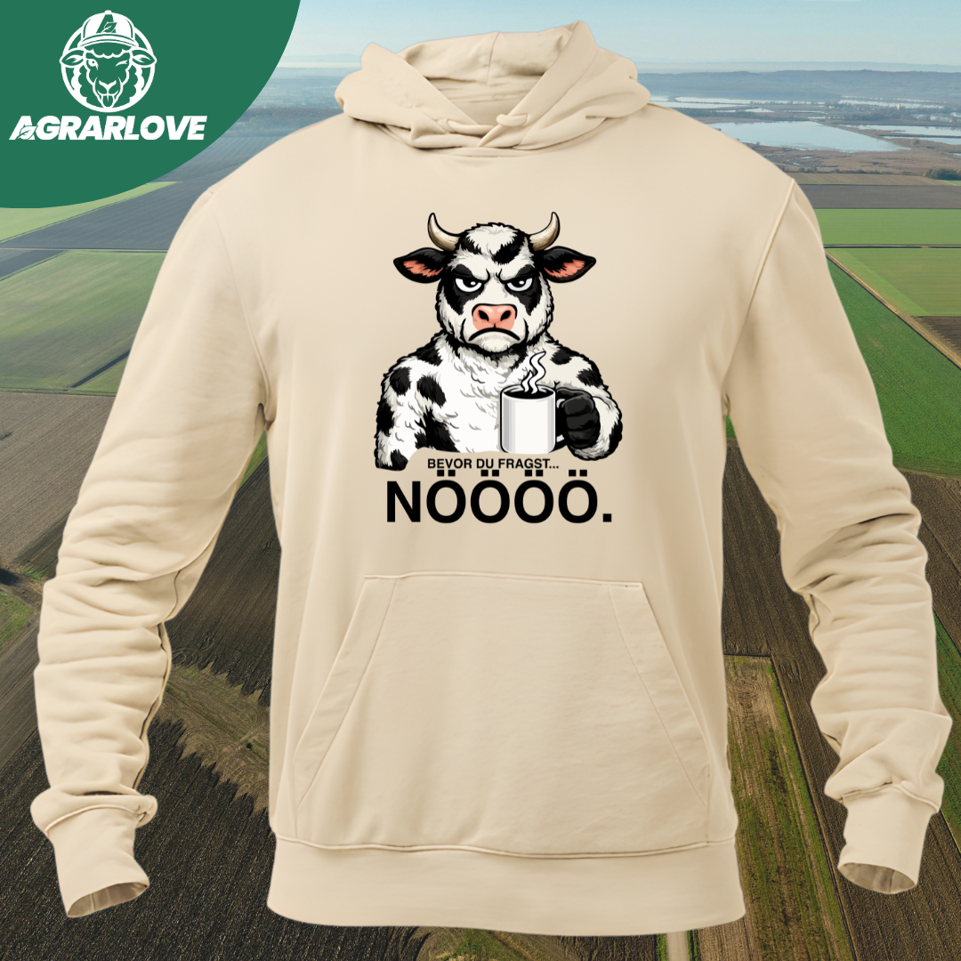Bevor du fragst NÖÖÖ | Premium Hoodie