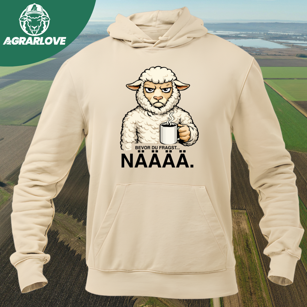 Bevor du fragst NÄÄÄ | Premium Hoodie