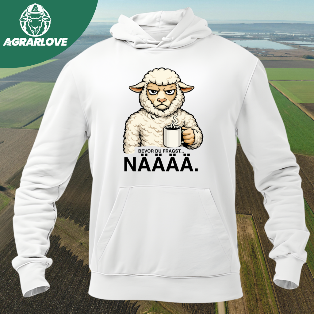 Bevor du fragst NÄÄÄ | Premium Hoodie