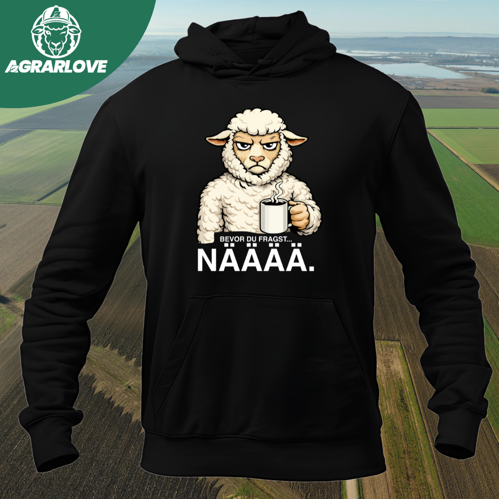 Bevor du fragst NÄÄÄ | Premium Hoodie