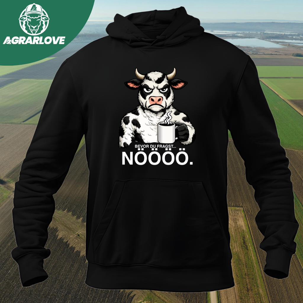 Bevor du fragst NÖÖÖ | Premium Hoodie