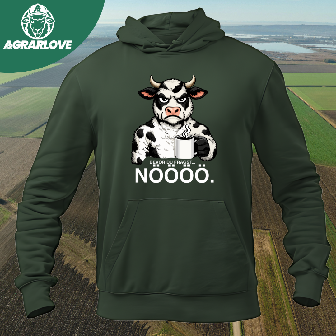 Bevor du fragst NÖÖÖ | Premium Hoodie