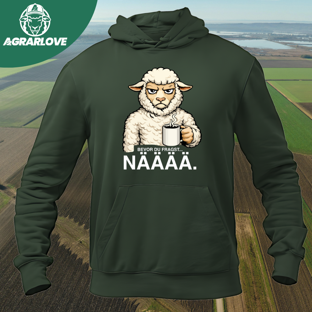 Bevor du fragst NÄÄÄ | Premium Hoodie