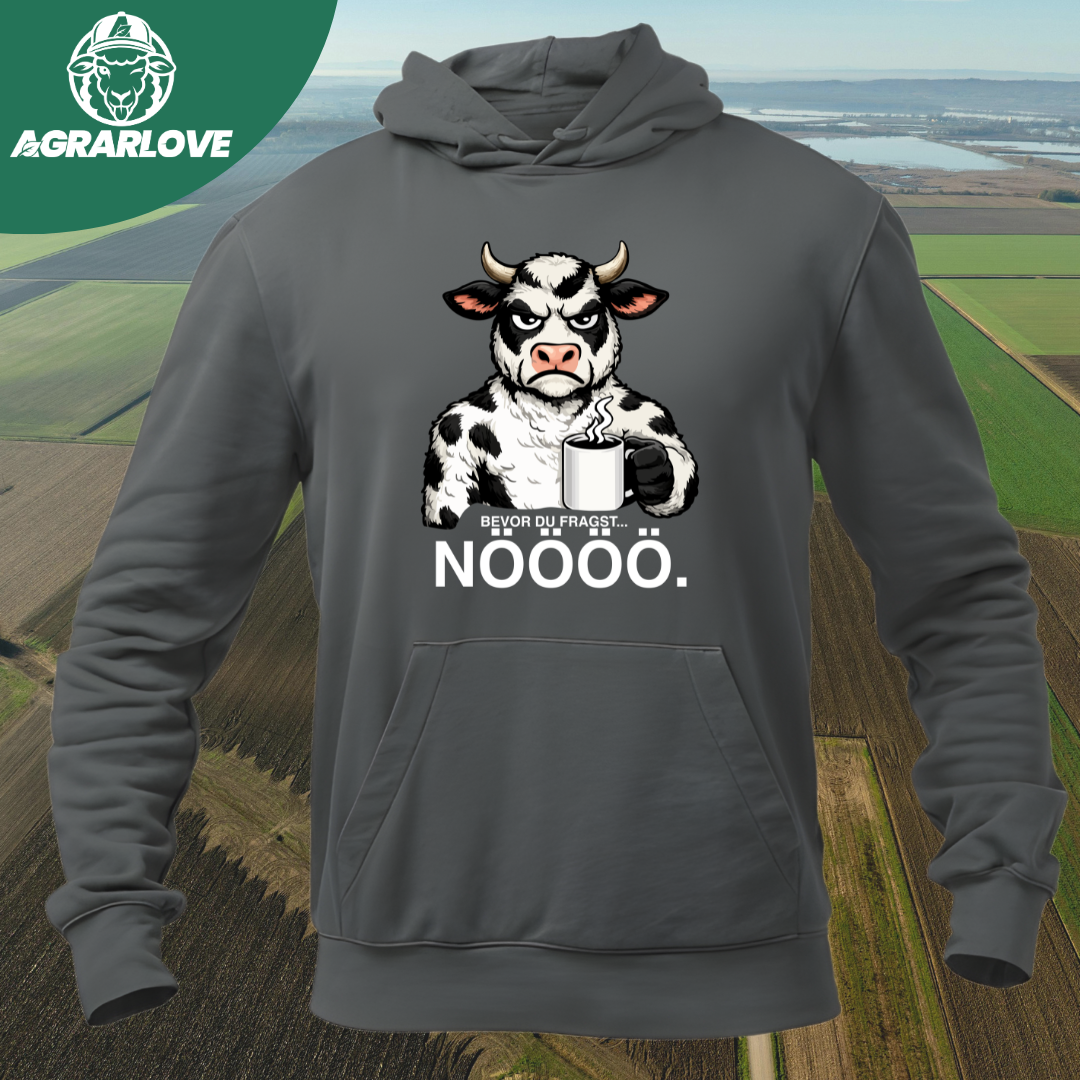 Bevor du fragst NÖÖÖ | Premium Hoodie