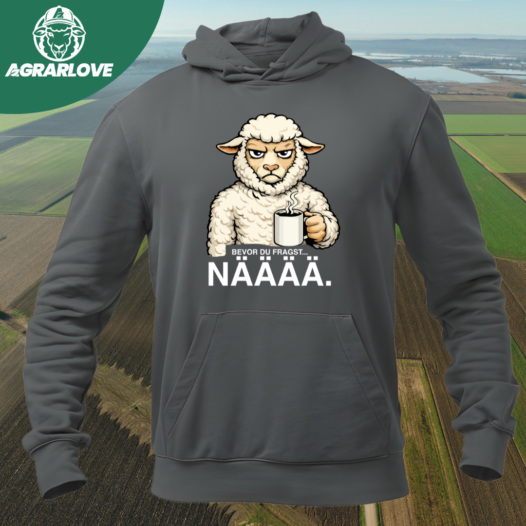 Bevor du fragst NÄÄÄ | Premium Hoodie