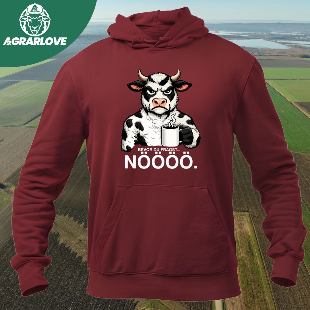 Bevor du fragst NÖÖÖ | Premium Hoodie