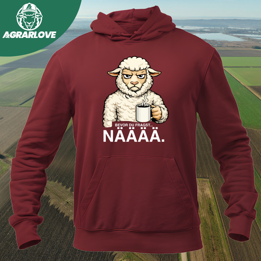 Bevor du fragst NÄÄÄ | Premium Hoodie